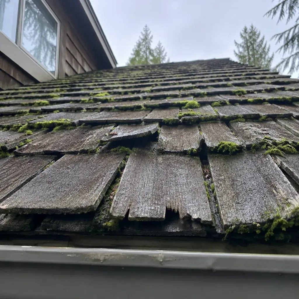 Wood Shake Roof Leak Repair roof leak repair in Trenton, NJ